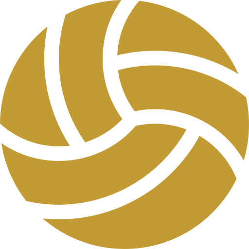 paris sportifs ballon de volleyball